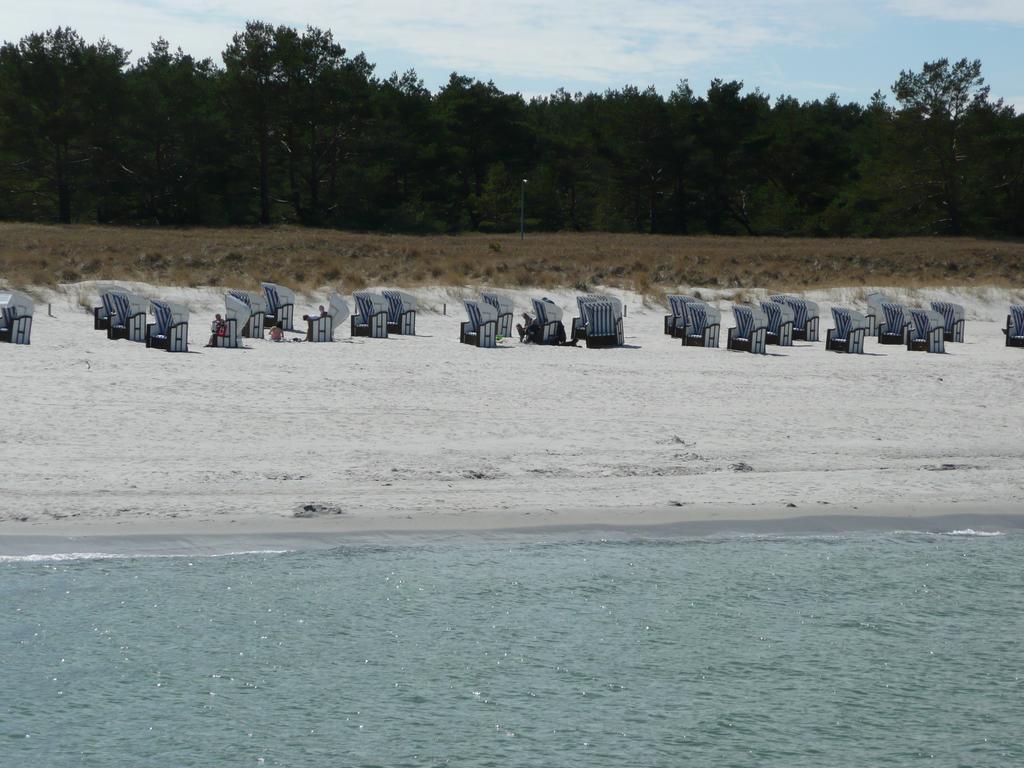 An Der Sonnenwiese Prerow Εξωτερικό φωτογραφία